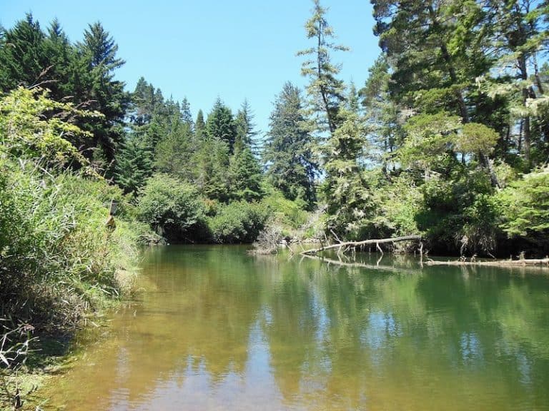 10 Of The Best Places To Kayak In Oregon SeaKayakExplorer