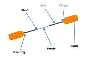 Parts Of A Canoe Paddle Diagram