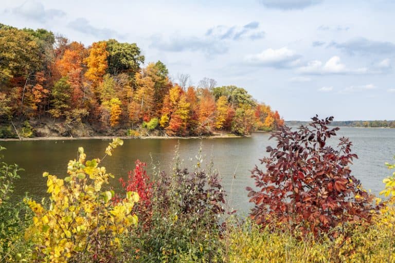 The 10 Best Places To Kayak Near Indianapolis SeaKayakExplorer