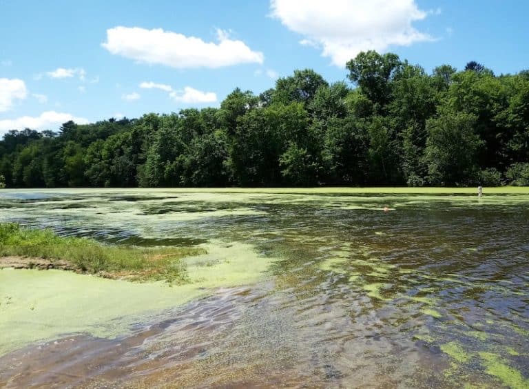 10 Of The Best Places To Kayak Near Madison